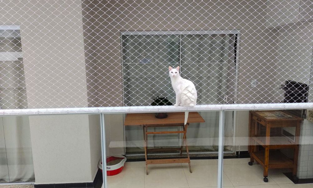 Telas para Pets Poços de Caldas