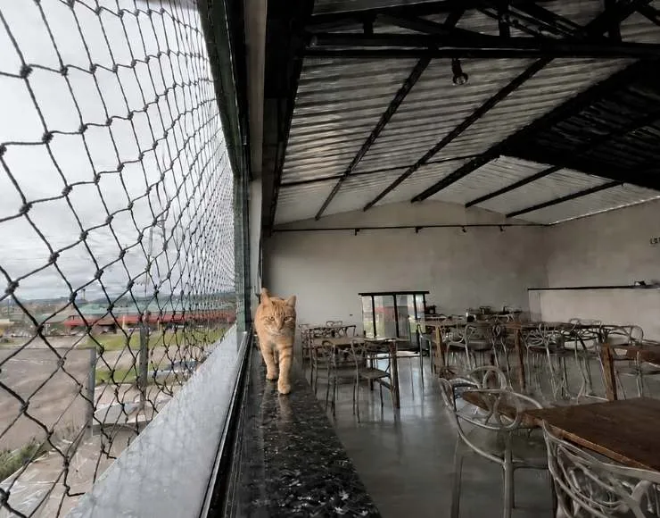 Rede de proteção instalada em janela de apartamento