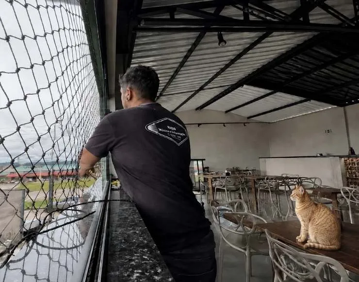 Tela de proteção para gatos instalada em janela de apartamento — RBP