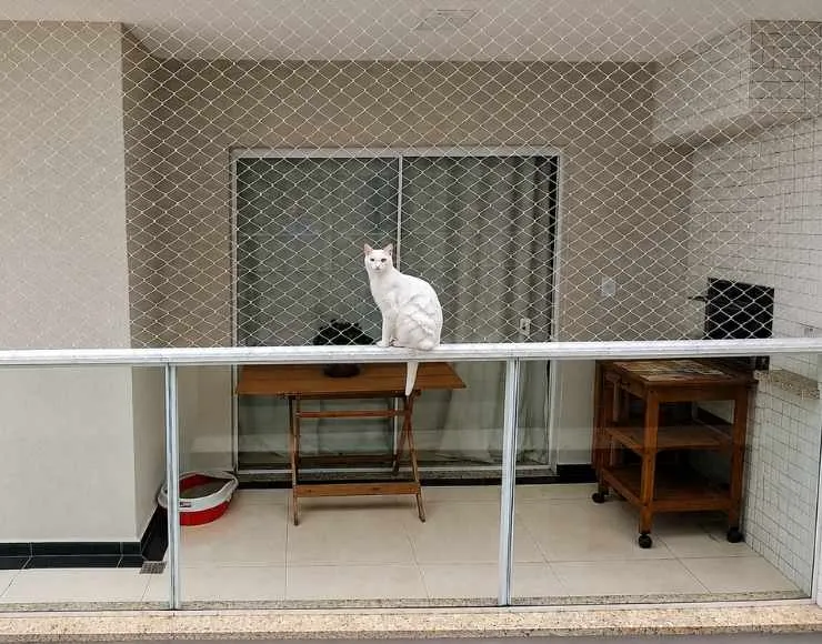 Tela específica para gatos instalada em janela com malha resistente