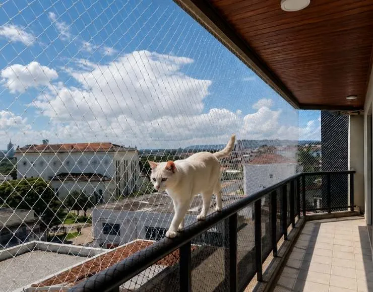 Proteção para filhotes de gato em janela de apartamento — RBP Redes